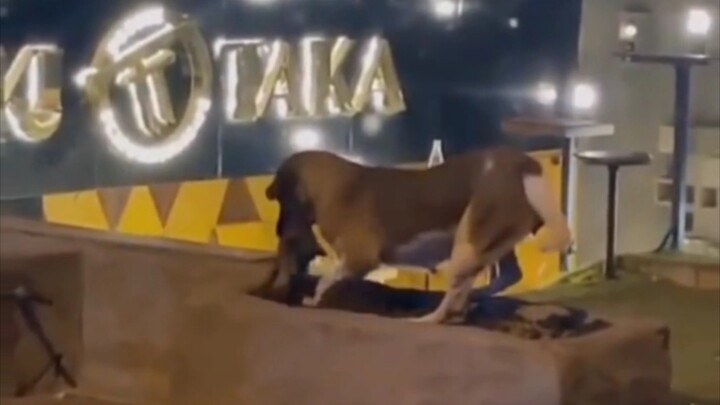 Maybe it’s sad too.