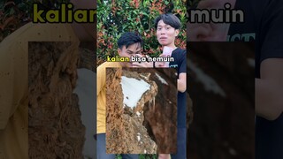 TEMUKAN HEWAN DAPAT UANG TAPI SULIT UNTUK DI JAWAB?? #viral #shorts