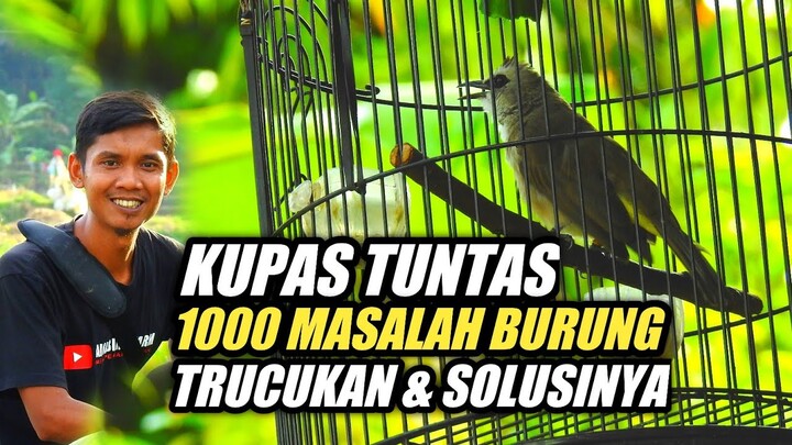 KUPAS TUNTAS PROBLEM TRUCUKAN SAMPAI AKARNYA