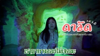 คาเฟ่วงกต บันไดสวรรค์ กินเที่ยว EP3 | ดาลัด เวียดนาม