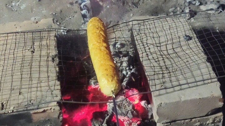 Which is more authoritative: Chicken Sausage or Marco Polo Sausage?