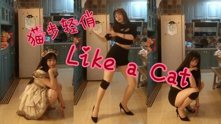 【徒子】可爱在性感面前不值一提?AOA-Like a Cat翻跳 史上最不走心换装