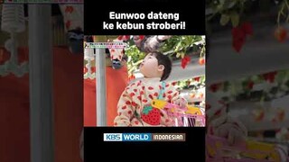 Surga buat Eunwoo!!!