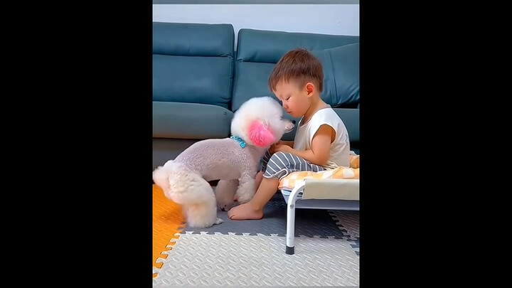 หลักฐานที่แสดงว่าถูกลูกหมาคอยรัก