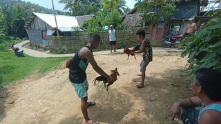 win manok ni tropa Ako nagtari at nagbitaw ( unang laban )