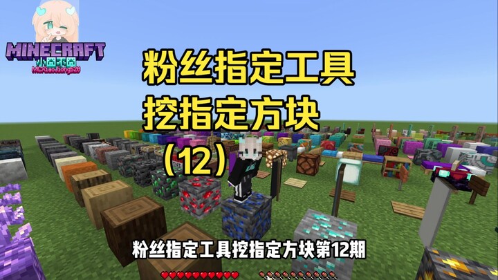 [Minecraft] Fan-Requested Tool to Mine Specified Blocks (12)