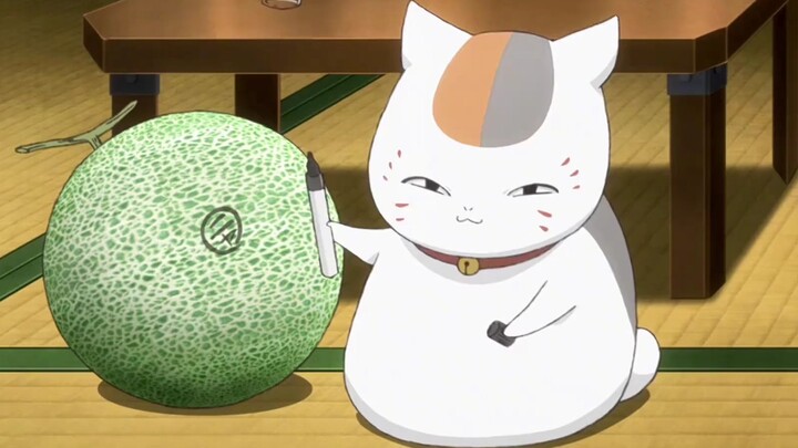 The cat teacher has a bad idea again
