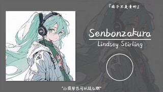 "The violin can be this exciting" || "Senbonzakura"