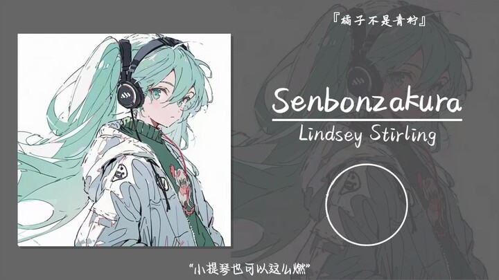 “小提琴也可以这么燃”||《Senbonzakura》