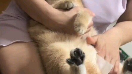 就差这一下，舒服了