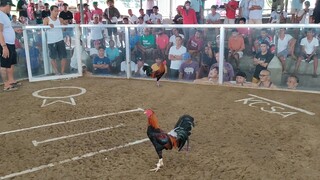 KCSA 3 HITS ULUTAN 1ST FIGHT AEJ SUPER SWEATER WIN!!!