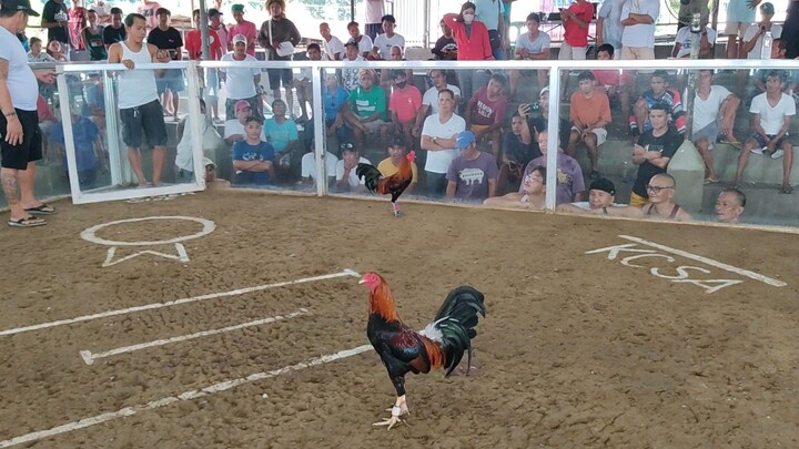 KCSA 3 HITS ULUTAN 1ST FIGHT AEJ SUPER SWEATER WIN!!!