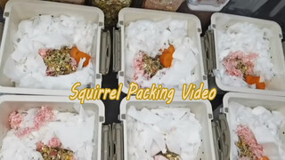 Exercise|Pack Fancy Rats Various Food