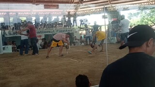 4-15-2023 win 8/10 dihado tayu against gentleman from capoocan leyte