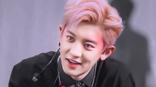 【EXO ปาร์คชานยอล】ซีรีส์สถานที่ฝันครั้งใหญ่ที่ห้ามพลาด!