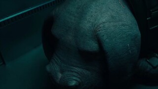 Okja [1080pWEB-DLFull.mp4]