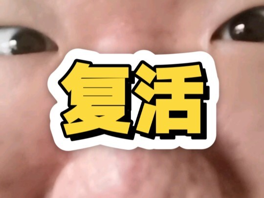 New Year is here! Tangtang is back!