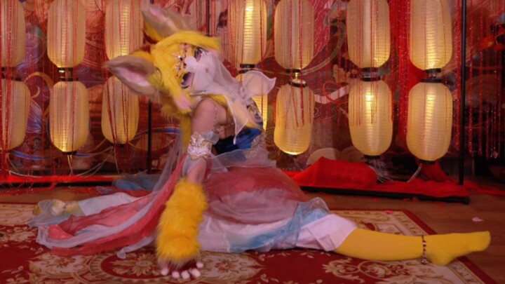 Cats are fluid creatures, so every one of them can do the splits (for sure!)