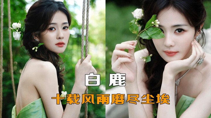 Bạch Lộc lặng lẽ gánh vác mọi chuyện, còn các cơ quan truyền thông nhà nước lại đồng loạt đăng bài ủ