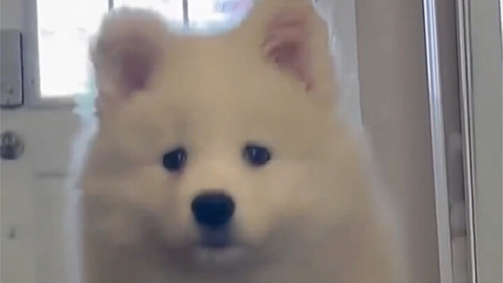 Chị ơi, là em đây, mở cửa mau!