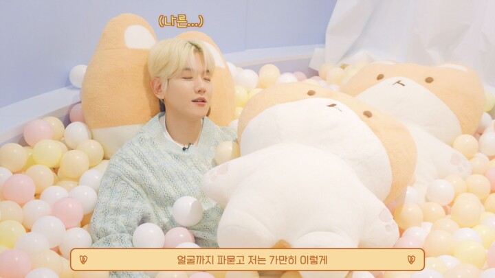 【EXO】Welcome to TEOLAEGI's Home 💛 | TEOLAEGI ZIPDURI POP-UP STORE