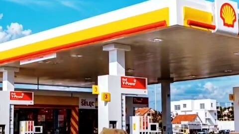 trời xanh đã an bài