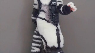 มันระเบิด! ! ออร์คเต้นสองครั้ง! ! ใช่หรือใช่เกือบเปิดไลน์แล้ว【Silver Carbon】【Fursuit Dance】