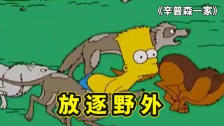 辛普森一家，巴特的恶作剧惹怒丽莎，惨遭法庭禁止令被放逐野外