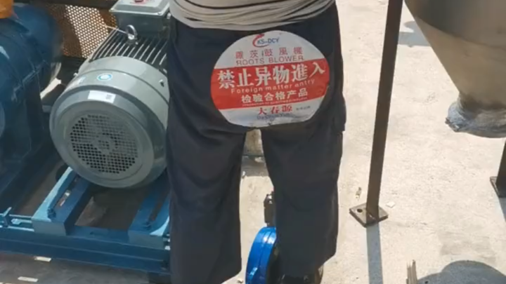 This big brother clearly has a story to tell!