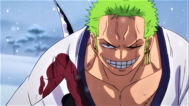 Ternyata Zoro Lebih Kejam Dari Yang Kita Kira !!!