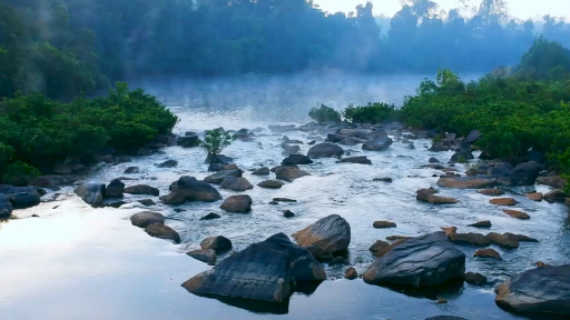 Spring River Sounds with birds chirping songs, nature sounds, Nature Zilla