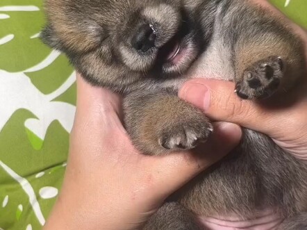 Was fast asleep when I got tickled awake