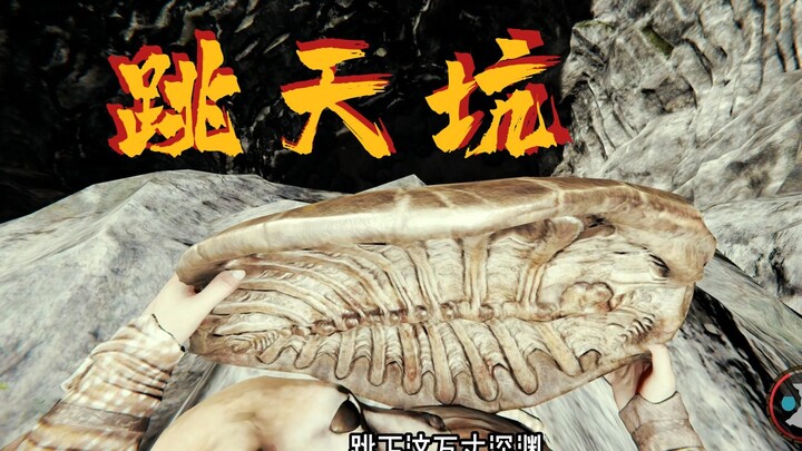 用龟壳下天坑