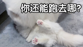 المنتصر هو الملك، والخاسر يدفئ السرير 2.0