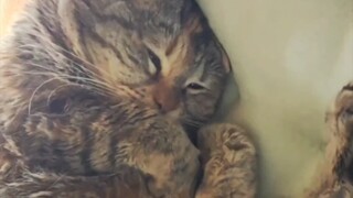 Can someone please turn off the sun? It's too bright.