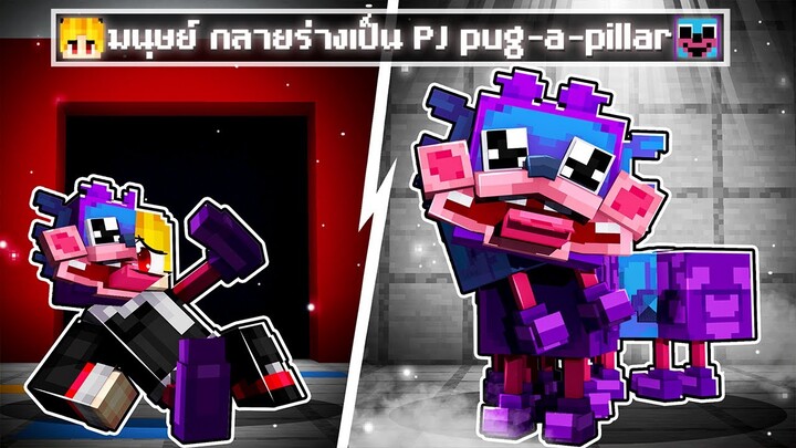 จะเกิดอะไรขึ้น!! ผม.. ต้องมา กลายเป็น หมาหนอน PJ Pug-A-Pillar ใน Minecraft!