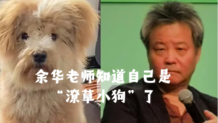 الاستاذ يو هوا يدرك أن رد فعله ورد فعل الجرو المرسوم بعجالة لطيفان جدًا.