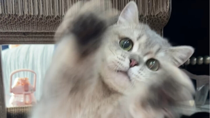 An Unreachable Expert