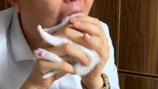 有些话我不知，当讲不当讲