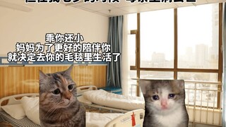 住在毛毯里的妈妈