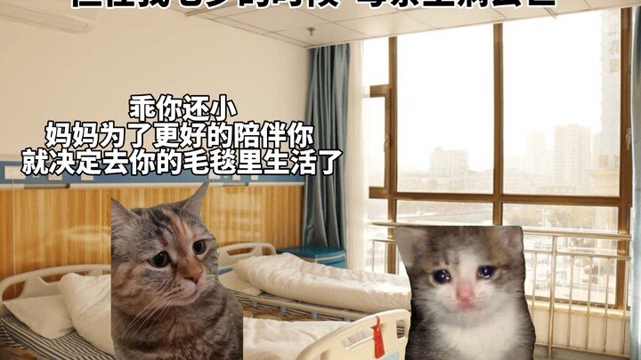 住在毛毯里的妈妈