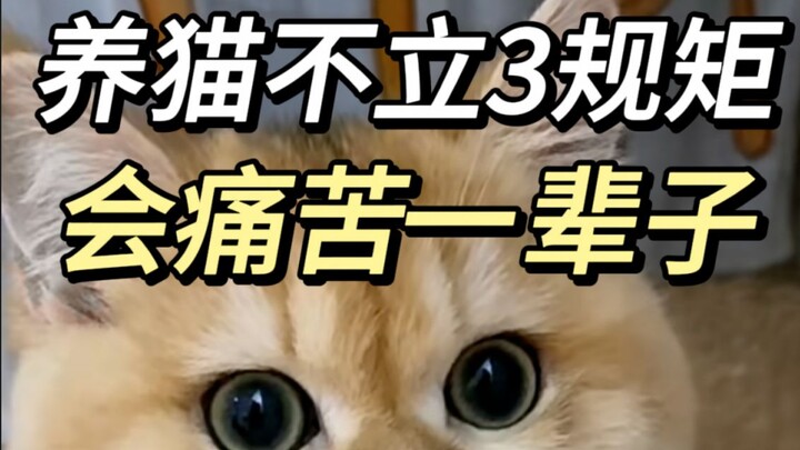 Đừng buông tay khi anh ấy đang vật lộn!