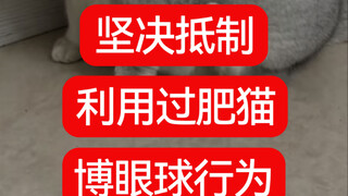 有没有人和我一样，看到这种猫就生理不适？
