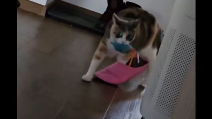 I'm busy with many things.