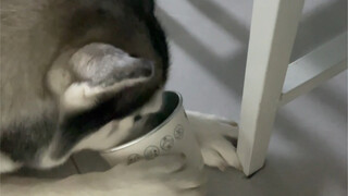 Look how convenient and smart it is—always there when you need it!