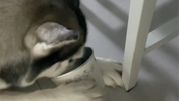 瞧瞧多方便多智能随叫随到