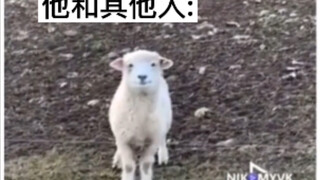 你怎么知道这是适合你的人？