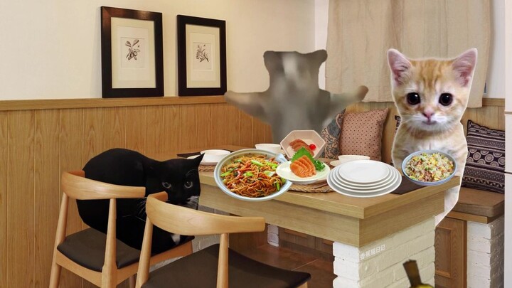 قطة الموزة تذهب مع أصدقائها لتناول البوفيه.