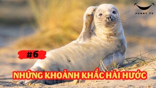 [Funny TV] - Những khoảnh khắc hài hước #6
