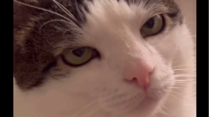 I had another fight: “To avoid embarrassing myself, I’d better just keep quiet this time.”